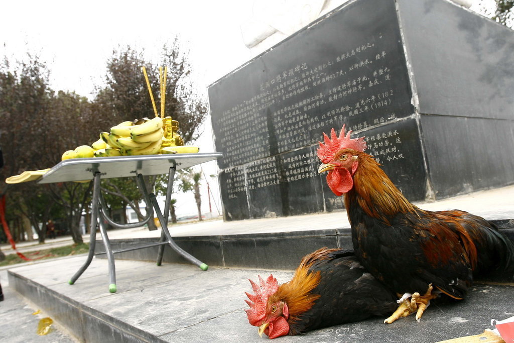 按此在新窗口打开图片