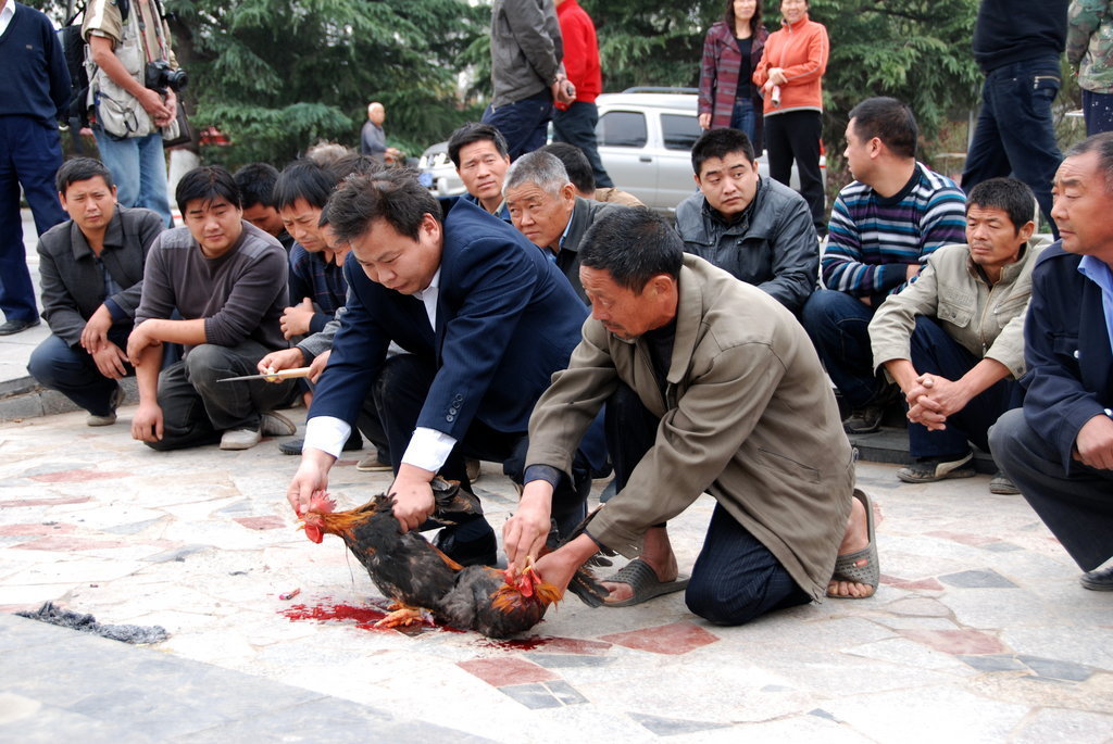 按此在新窗口打开图片