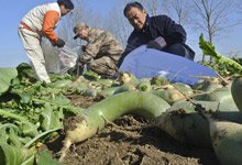 按此在新窗口打开图片