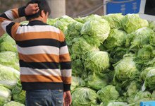 按此在新窗口打开图片