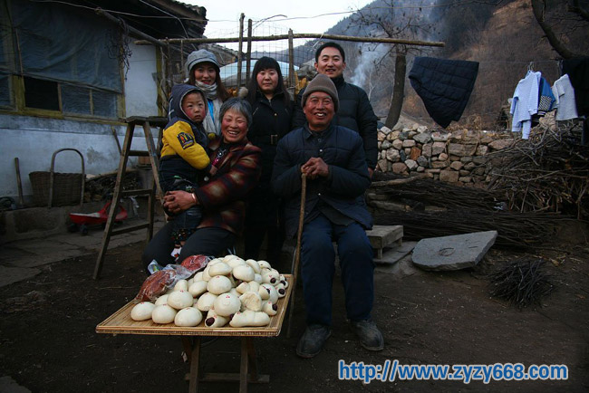 按此在新窗口打开图片