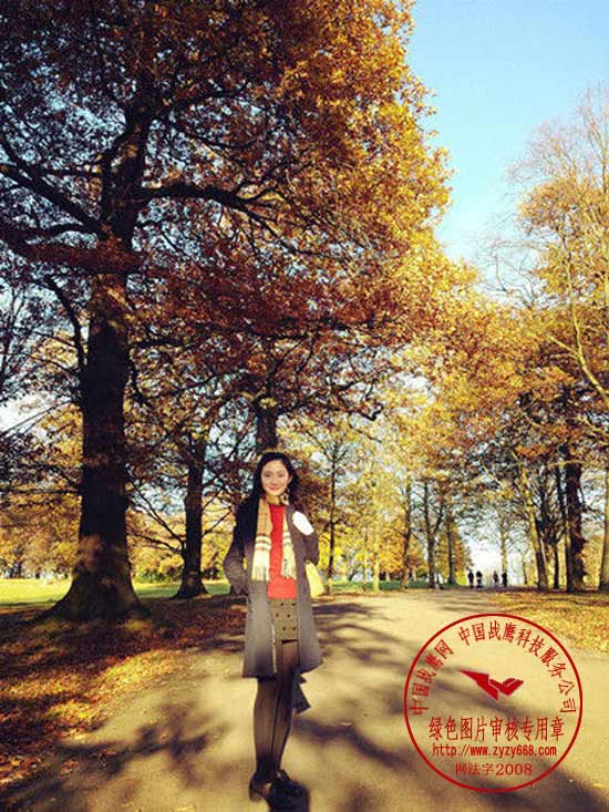 按此在新窗口打开图片