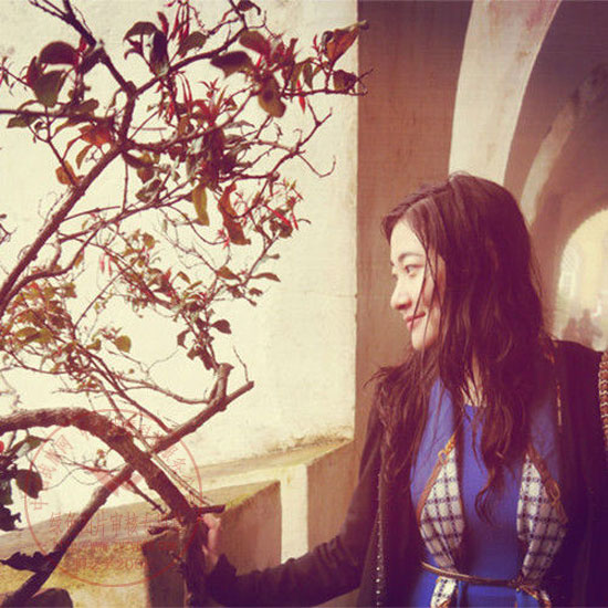 按此在新窗口打开图片